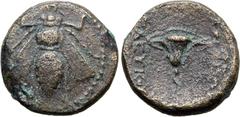 Greek Seleukid Empire, Seleukos IV Philopator Æ 12mm. Uncertain mint in northern Syria, circa 187-175 BC. Bee with straight wings / [ΒΑΣΙΛ]ΕΩ[Σ Σ]ΕΛΕΥΚΟΥ, rose. Unpublished; for other examples see: VA