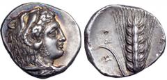 Lucania, Metapontum AR Stater. Lucania, Metapontum AR Stater. Circa 333-330 BC. Head of young Herakles right, wearing lion skin headdress / Ear of barley with a leaf on left; META to right, Π-PO to le