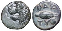 Thrace, Thracian Chersonesos. Paktye Æ11. Thrace, Thracian Chersonesos. Paktye Æ11. Circa 375-325 BC. Head of roaring lion left / Wheat grain, scallop shell below, ethnik PAK-TU around. See IACP p. 90