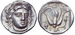Islands off Karia, Rhodos. Rhodos AR Didrachm. Islands off Karia, Rhodos. Rhodos AR Didrachm. Circa 340-316 BC. Head of Helios facing slightly to right / Rose with bud right, ΡOΔION above, bunch of gr