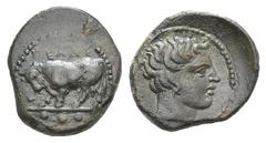 Sicily, Gela Æ Tetras. Sicily, Gela Æ Tetras. c. 420-405. Bull standing l.; three pellets in exergue / Head of river-god Gelas r. CNS III, p. 7, 3; SNG ANS 109. 4.10g, 19mm, 9h. Brown patina, VF