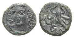 Sicily, Syracuse Æ Tetras. Sicily, Syracuse Æ Tetras. c. 390. Head of nymph facing slightly l., wearing necklace / Octopus. CNS 29; SNG ANS 385. 2.10g, 12h, 11h. Dark patina, VF