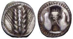 Lucania, Metapontum AR Triobol. Lucania, Metapontum AR Triobol. Circa 470-440 BC. Ear of barley with six grains / Incuse bukranion. Noe 264; SNG ANS 260; SNG Copenhagen 1176; HN Italy 1487. 1.29g, 13m