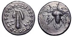 Lydia, Tralles AR Cistophoric Didrachm. Lydia, Tralles AR Cistophoric Didrachm. Before 133 BC. Club of Herakles draped with skin of Nemean lion, all within ivy wreath / Bunch of grapes on branch, with