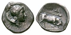 Lucania, Thourioi AR Didrachm. Lucania, Thourioi AR Didrachm. 350-300 BC. Helmeted head of Athena right, helmet decorated with griffin / Bull butting right, thyrsos above; ΘΟΥΡΙΩΝ. HN Italy 1825 (Thyr