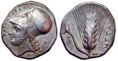 Lucania, Metapontion AR Stater. Circa 340-330 BC. Head of Athena Tharragoras left, wearing Corinthian helmet; ΘAPPAΓOPAΣ before, K behind / Ear of barley with stalk and leaf to left upon which is an u