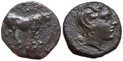 Sicily, Gela Æ Tetras. Circa 420-405 BC. Bull standing right, olive-branch above, three pellets in exergue / Head of river-god right, grain behind. Jenkins 527; CNS III.46; SNG ANS 122; Hoover 380. 3.