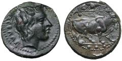 Sicily, Gela Æ Tetras. Circa 420-405 BC. Head of young river-god right, ΓΕΛΑΣ behind / Bull standing left, olive-branch above, three pellets in exergue. SNG ANS 121; Jenkins 523,3; CNS III, p. 20, 42;