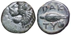Thracian Chersonesos, Paktye Æ11. Circa 375-325 BC. Head of roaring lion left / Wheat grain, scallop shell below, ethnik ΠAK-TY around. Roma Numismatics IV, 256 (this coin); see IACP p. 909, 671 for i