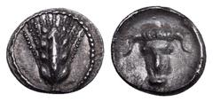 Greek Lucania, Metapontion AR Hemiobol. Circa 450 BC. Ear of barley with four grains / Facing head of bull with horns turned down, within shallow incuse circle. Noe p. 106, 346.2. 0.35g, 9mm, 11h. Ext