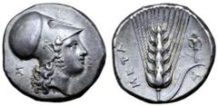 Greek Lucania, Metapontion AR Stater. Circa 340-330 BC. Head of Athena Tharragoras right, wearing Corinthian helmet; Σ behind / Ear of barley with stalk and leaf to right upon which, trophy; Π below, 