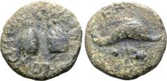 Greek Sicily, Tyndaris Æ21. Circa 44-36 BC or later. C. Julius C.f. Longus, duovir. [C•IVLIVS•C•F•]LONGVS•II•VIR, pilei of the Dioscuri surmounted by stars / Dolphin right; [EX] above, [D]•D below. Vi