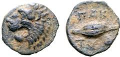 The Thrax Collection Thracian Chersonesos, Paktye Æ11. Circa 389-309 BC. Head of roaring lion left / PAK-TYE, barley grain, scallop shell below. HGC 3.2, 1604; Roma Numismatics sale 4, 2012, 256. 0.91