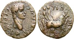 The William Stancomb Collection Paphlagonia, Sinope Æ17. Caligula, year 83 = AD 37/8. C CAE AVG GER EX DD, bare head right / C I F AN LXXXIII below two colonists ploughing right. SNG Stancomb 1054 (th