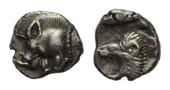 Greek Mysien. Kyzikos. Hemiobol. Ca. 450 - 400 v. Chr. Vs: Vorderteil eines Ebers links, dahinter Thunfisch nach oben. Rs: Löwenkopf links in Quadratum incusum. 7 mm. 0,49 g. SNG Paris 373. Fast vorzü