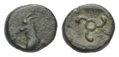 Dynasten von Lykien Dynasten von Lykien. Perikles (ca. 380 - 360 v. Chr.). Bronze. Vs: Ziegenprotome links. Rs: Triskeles. 10 mm. 1,11 g. SNG von Aulock 4262. Sehr schön. Slg. Prof. Dr. Peter Robert F