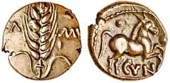Celtic, Catuvellauni and Trinovantes, Cunobelin (c.AD 8-41), Gold Stater, 5.36g, plastic type, corn ear, no stalk, leaves dividing ca-mv, rev. horse right, without branch, pellet above, cvn below (Mac