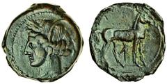 Ancient Coins The Carthaginians in Magna Graecia (c.264-241 BC), AE 23mm, Sardinia, wreathed head of Tanit left, rev. horse standing right, Punic letter g below (cf SNG Cop.213), brown patina, unusual