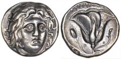 ISLANDS OFF CARIA, Rhodes. Ca. 275-250 B.C. AR Didrachm. Nearly Extremely Fine AR Didrachm. Antipatros, magistrate. Head of Helios facing slightly right. Rv. Rose with bud to right; in left field, gra